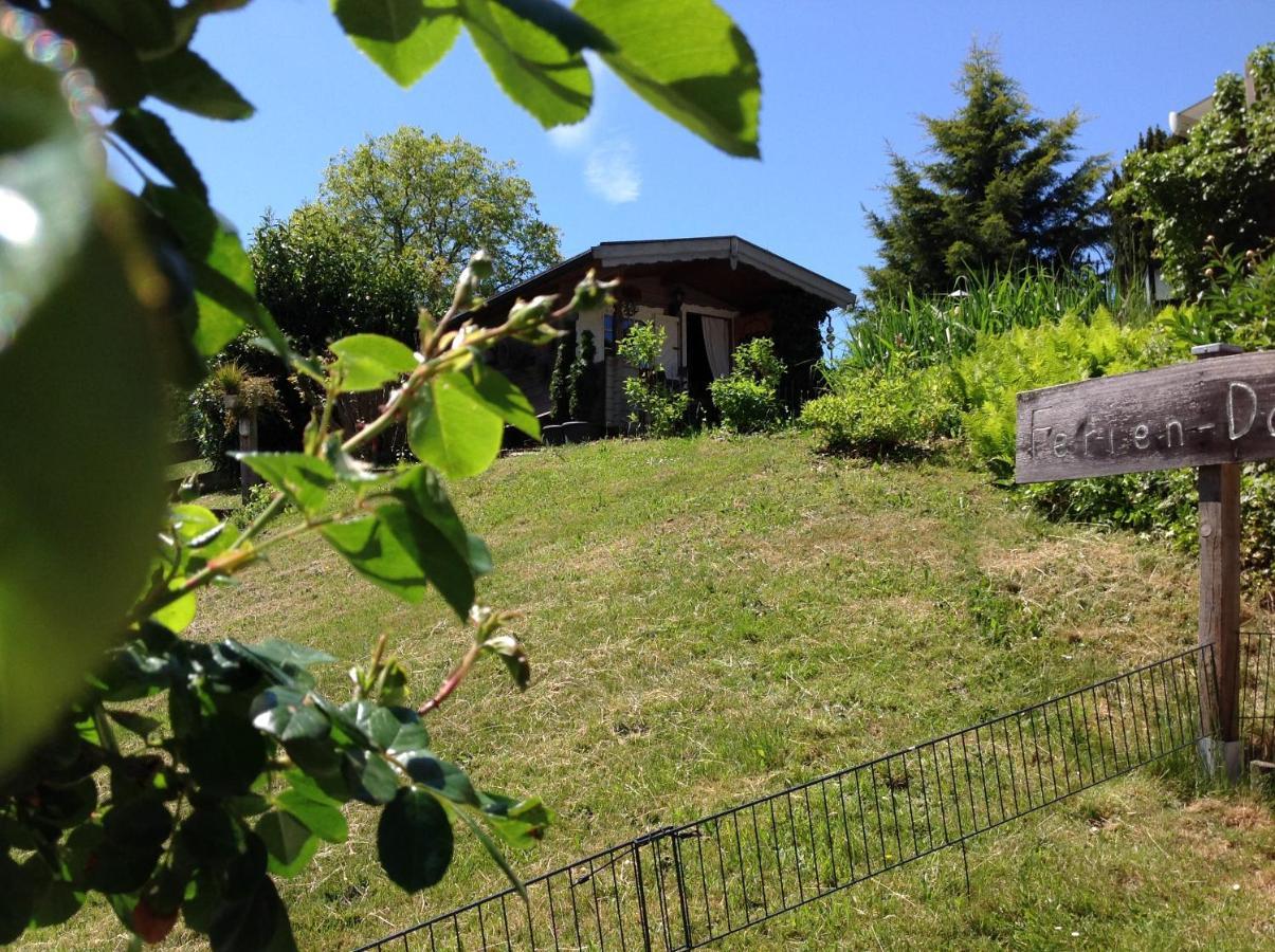 Ferienwohnung Casa Natura Reichelsheim 外观 照片